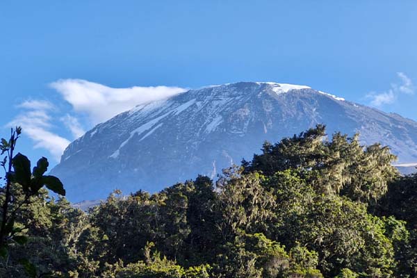 7 Days Rongai Route Kilimanjaro Climbing