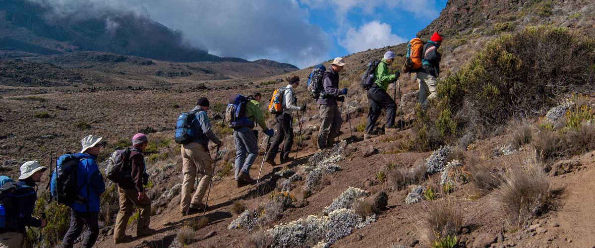 Kilimanjaro Climbing