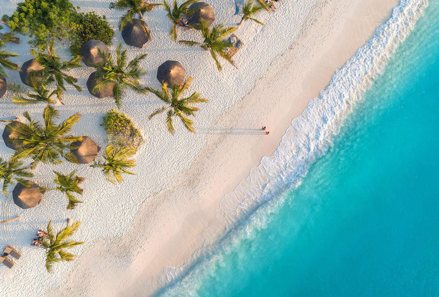 Zanzibar Beach Safari